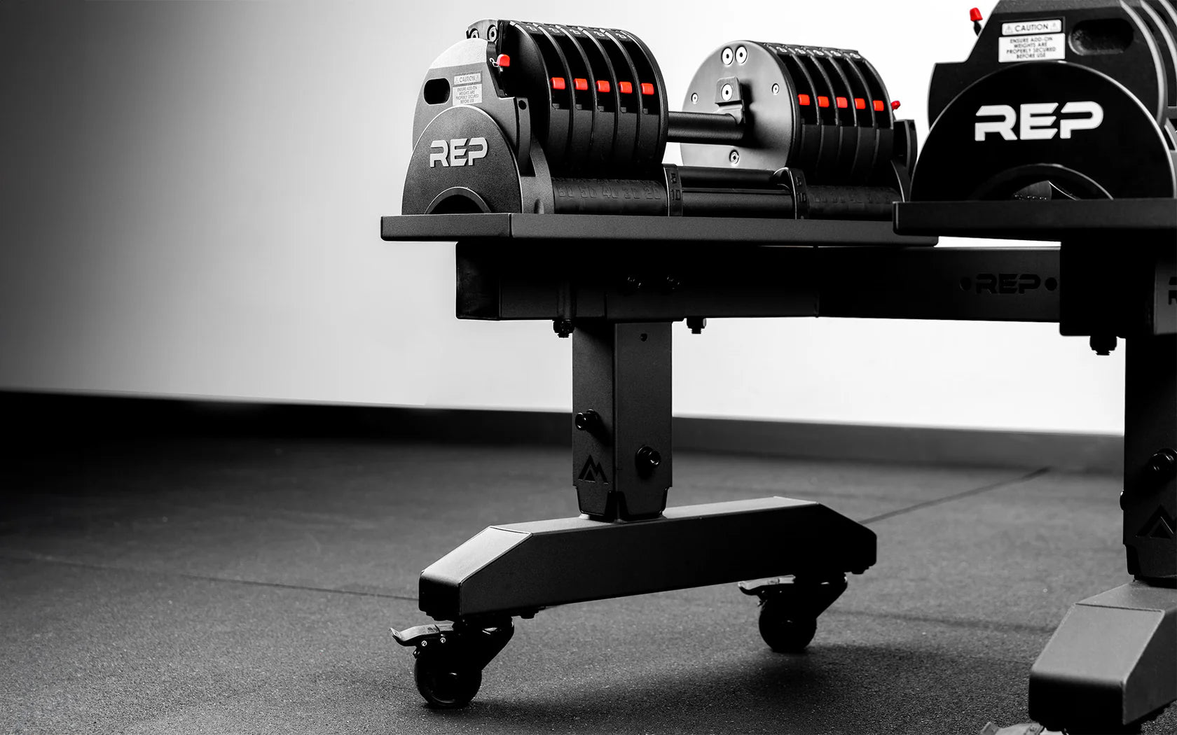 REP® x PÉPIN™ FAST Series™ REP® Adjustable Dumbbell Stand